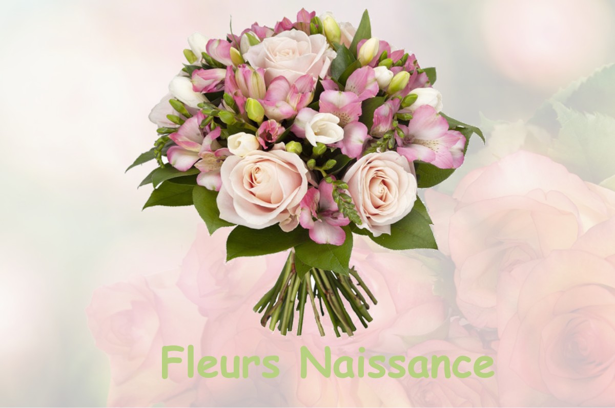 fleurs naissance NIEUL-LES-SAINTES